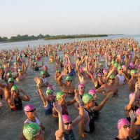 Triathlon Schwimmstart